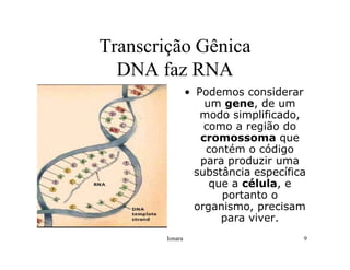 Rna E SíNtese ProteíNas.Ppt  Modo De Compatibilidade