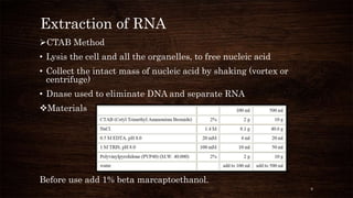 RNA extraction and gel electrophoresis | PPTX
