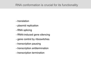 RNA conformation is crucial for its functionality - translation - plasmid replication - RNA splicing - RNAi-induced gene silencing - gene control by riboswitches - transcription  pausing - transcription antitermination - transcription  termination 