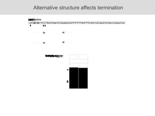 Alternative structure affects termination 