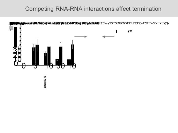 Rna Folding