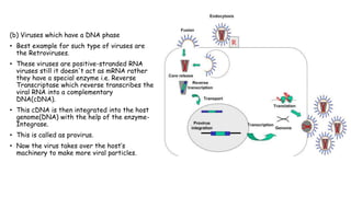 (b) Viruses which have a DNA phase
• Best example for such type of viruses are
the Retroviruses.
• These viruses are positive-stranded RNA
viruses still it doesn't act as mRNA rather
they have a special enzyme i.e. Reverse
Transcriptase which reverse transcribes the
viral RNA into a complementary
DNA(cDNA).
• This cDNA is then integrated into the host
genome(DNA) with the help of the enzyme-
Integrase.
• This is called as provirus.
• Now the virus takes over the host’s
machinery to make more viral particles.
 
