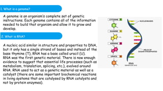 1. What is a genome?
2. What is RNA?
A genome is an organism’s complete set of genetic
instructions. Each genome contains all of the information
needed to build that organism and allow it to grow and
develop.
A nucleic acid similar in structure and properties to DNA,
but it only has a single strand of bases and instead of the
base thymine (T), RNA has a base called uracil (U).
RNA was the first genetic material. There is now enough
evidence to suggest that essential life processes (such as
metabolism, translation, splicing, etc.), evolved around
RNA. RNA used to act as a genetic material as well as a
catalyst (there are some important biochemical reactions
in living systems that are catalysed by RNA catalysts and
not by protein enzymes).
2. What is RNA?
 
