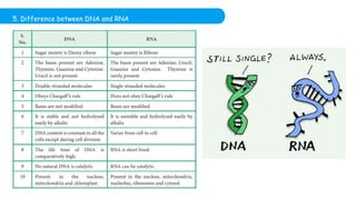 5. Difference between DNA and RNA
 
