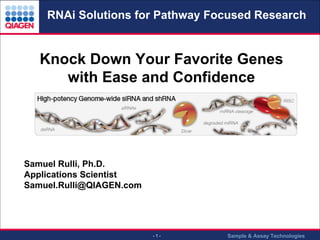 RNAi Solutions for Pathway Focused Research

Knock Down Your Favorite Genes
with Ease and Confidence

Samuel Rulli, Ph.D.
Applications Scientist
Samuel.Rulli@QIAGEN.com

-1-

Sample & Assay Technologies

 