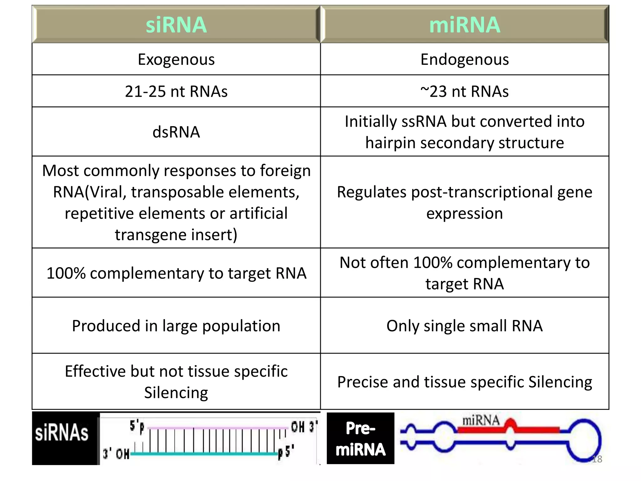 siRNA miRNA
Exogenous Endogenous
21-25 nt RNAs ~23 nt RNAs
dsRNA
Initially ssRNA but converted into
hairpin secondary structure
Most commonly responses to foreign
RNA(Viral, transposable elements,
repetitive elements or artificial
transgene insert)
Regulates post-transcriptional gene
expression
100% complementary to target RNA
Not often 100% complementary to
target RNA
Produced in large population Only single small RNA
Effective but not tissue specific
Silencing
Precise and tissue specific Silencing
18
 