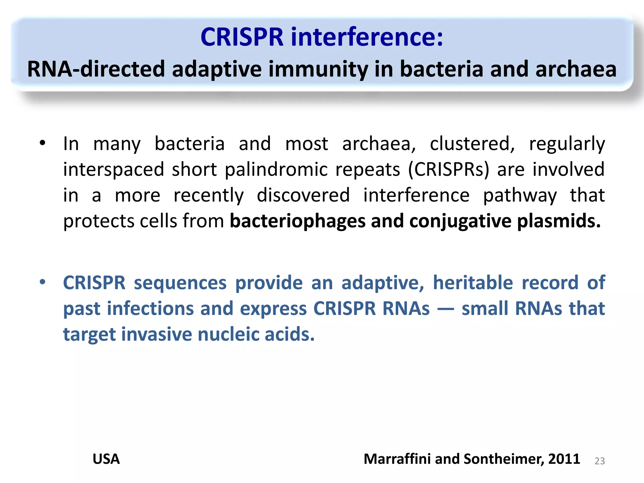 CRISPR interference:
RNA-directed adaptive immunity in bacteria and archaea
• In many bacteria and most archaea, clustered, regularly
interspaced short palindromic repeats (CRISPRs) are involved
in a more recently discovered interference pathway that
protects cells from bacteriophages and conjugative plasmids.
• CRISPR sequences provide an adaptive, heritable record of
past infections and express CRISPR RNAs — small RNAs that
target invasive nucleic acids.
23Marraffini and Sontheimer, 2011USA
 