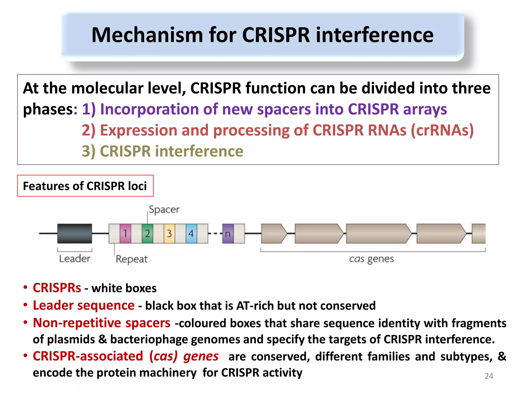 Mechanism for CRISPR interference
24
At the molecular level, CRISPR function can be divided into three
phases: 1) Incorporation of new spacers into CRISPR arrays
2) Expression and processing of CRISPR RNAs (crRNAs)
3) CRISPR interference
Features of CRISPR loci
• CRISPRs - white boxes
• Leader sequence - black box that is AT-rich but not conserved
• Non-repetitive spacers -coloured boxes that share sequence identity with fragments
of plasmids & bacteriophage genomes and specify the targets of CRISPR interference.
• CRISPR-associated (cas) genes are conserved, different families and subtypes, &
encode the protein machinery for CRISPR activity
 