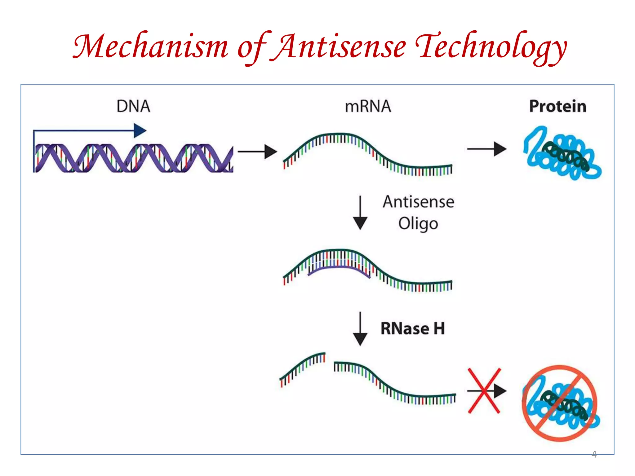 Mechanism of Antisense Technology
4
 
