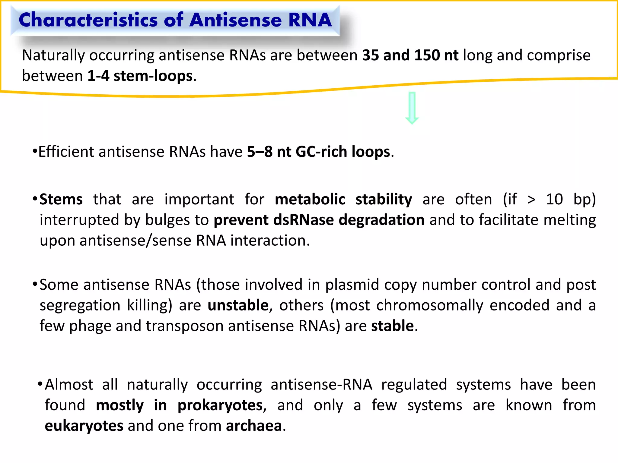 Characteristics of Antisense RNA
Naturally occurring antisense RNAs are between 35 and 150 nt long and comprise
between 1-4 stem-loops.
•Efficient antisense RNAs have 5–8 nt GC-rich loops.
•Stems that are important for metabolic stability are often (if > 10 bp)
interrupted by bulges to prevent dsRNase degradation and to facilitate melting
upon antisense/sense RNA interaction.
•Some antisense RNAs (those involved in plasmid copy number control and post
segregation killing) are unstable, others (most chromosomally encoded and a
few phage and transposon antisense RNAs) are stable.
•Almost all naturally occurring antisense-RNA regulated systems have been
found mostly in prokaryotes, and only a few systems are known from
eukaryotes and one from archaea.
 