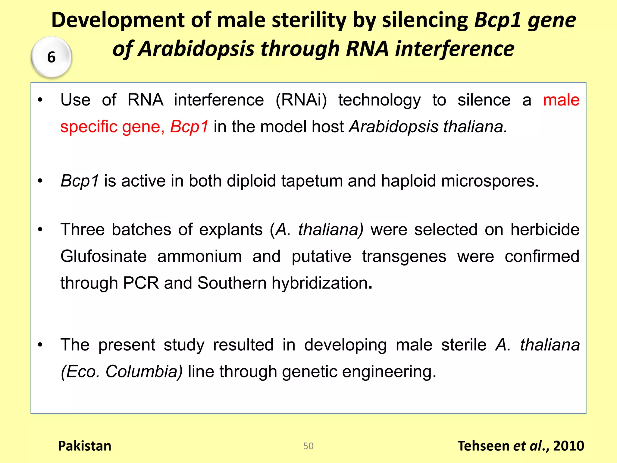 Development of male sterility by silencing Bcp1 gene
of Arabidopsis through RNA interference
• Use of RNA interference (RNAi) technology to silence a male
specific gene, Bcp1 in the model host Arabidopsis thaliana.
• Bcp1 is active in both diploid tapetum and haploid microspores.
• Three batches of explants (A. thaliana) were selected on herbicide
Glufosinate ammonium and putative transgenes were confirmed
through PCR and Southern hybridization.
• The present study resulted in developing male sterile A. thaliana
(Eco. Columbia) line through genetic engineering.
Tehseen et al., 2010Pakistan 50
6
 