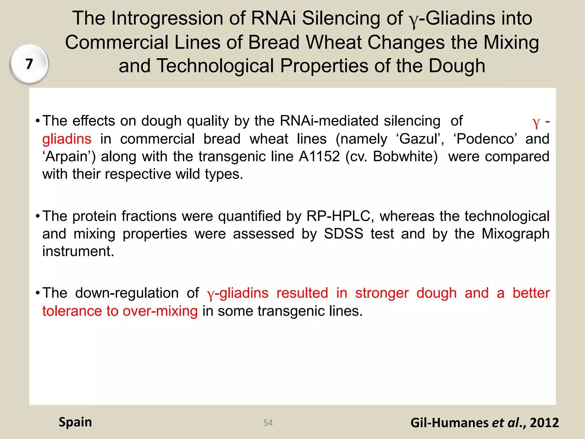The Introgression of RNAi Silencing of γ-Gliadins into
Commercial Lines of Bread Wheat Changes the Mixing
and Technological Properties of the Dough
•The effects on dough quality by the RNAi-mediated silencing of γ -
gliadins in commercial bread wheat lines (namely ‘Gazul’, ‘Podenco’ and
‘Arpain’) along with the transgenic line A1152 (cv. Bobwhite) were compared
with their respective wild types.
•The protein fractions were quantified by RP-HPLC, whereas the technological
and mixing properties were assessed by SDSS test and by the Mixograph
instrument.
•The down-regulation of γ-gliadins resulted in stronger dough and a better
tolerance to over-mixing in some transgenic lines.
Gil-Humanes et al., 2012Spain 54
7
 