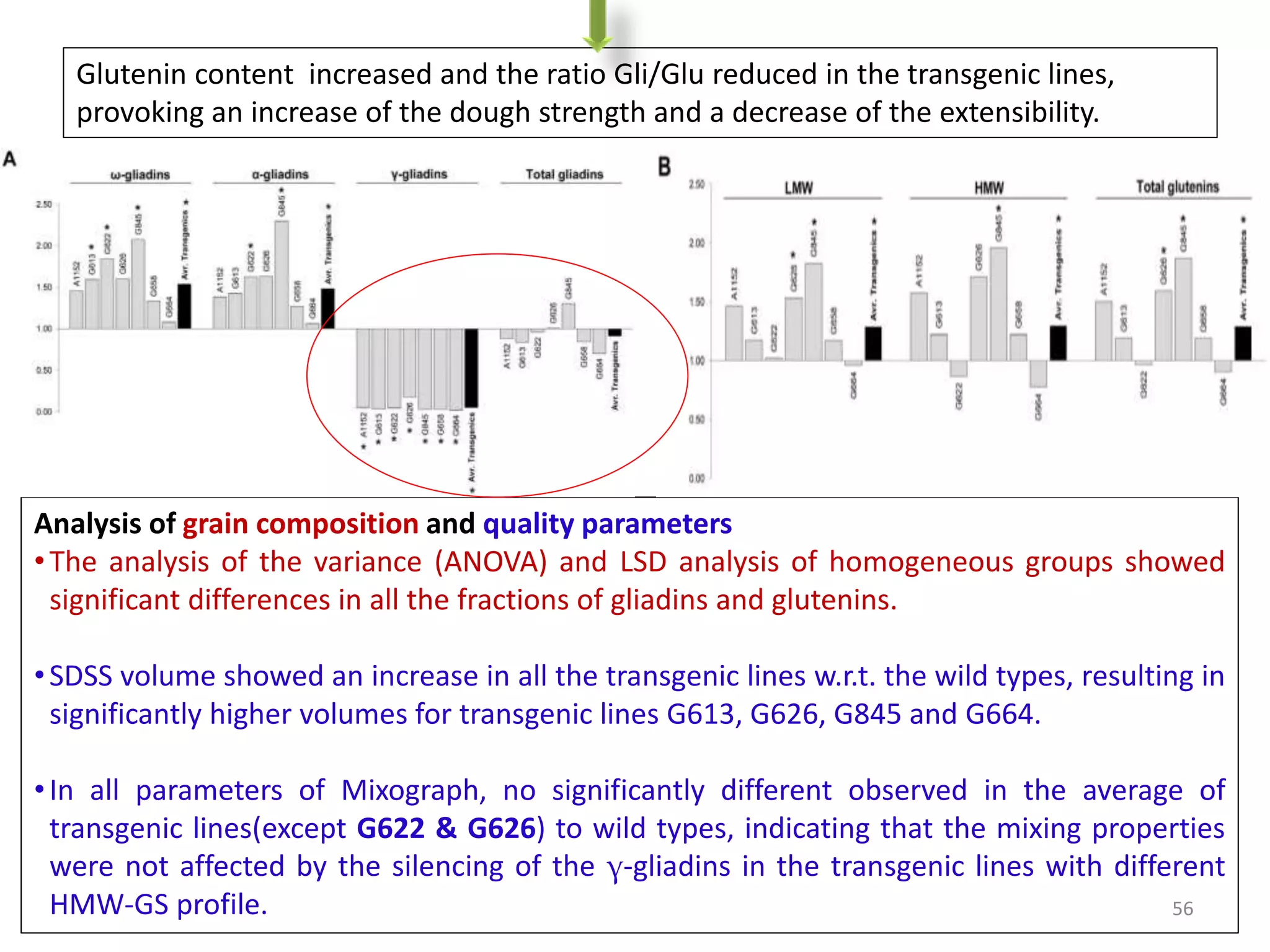 Glutenin content increased and the ratio Gli/Glu reduced in the transgenic lines,
provoking an increase of the dough strength and a decrease of the extensibility.
Analysis of grain composition and quality parameters
•The analysis of the variance (ANOVA) and LSD analysis of homogeneous groups showed
significant differences in all the fractions of gliadins and glutenins.
•SDSS volume showed an increase in all the transgenic lines w.r.t. the wild types, resulting in
significantly higher volumes for transgenic lines G613, G626, G845 and G664.
•In all parameters of Mixograph, no significantly different observed in the average of
transgenic lines(except G622 & G626) to wild types, indicating that the mixing properties
were not affected by the silencing of the γ-gliadins in the transgenic lines with different
HMW-GS profile. 56
 