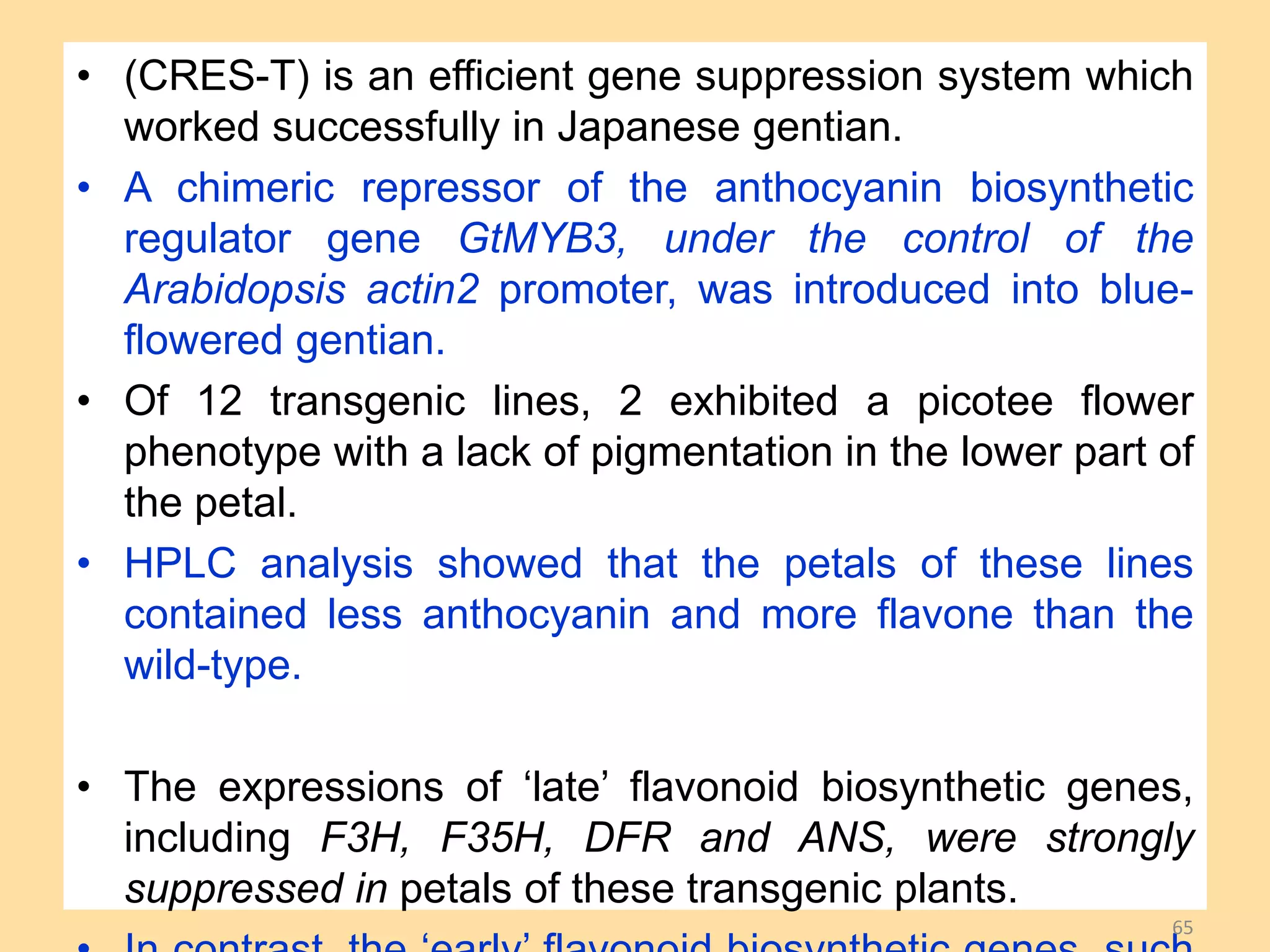• (CRES-T) is an efficient gene suppression system which
worked successfully in Japanese gentian.
• A chimeric repressor of the anthocyanin biosynthetic
regulator gene GtMYB3, under the control of the
Arabidopsis actin2 promoter, was introduced into blue-
flowered gentian.
• Of 12 transgenic lines, 2 exhibited a picotee flower
phenotype with a lack of pigmentation in the lower part of
the petal.
• HPLC analysis showed that the petals of these lines
contained less anthocyanin and more flavone than the
wild-type.
• The expressions of ‘late’ flavonoid biosynthetic genes,
including F3H, F35H, DFR and ANS, were strongly
suppressed in petals of these transgenic plants.
65
 
