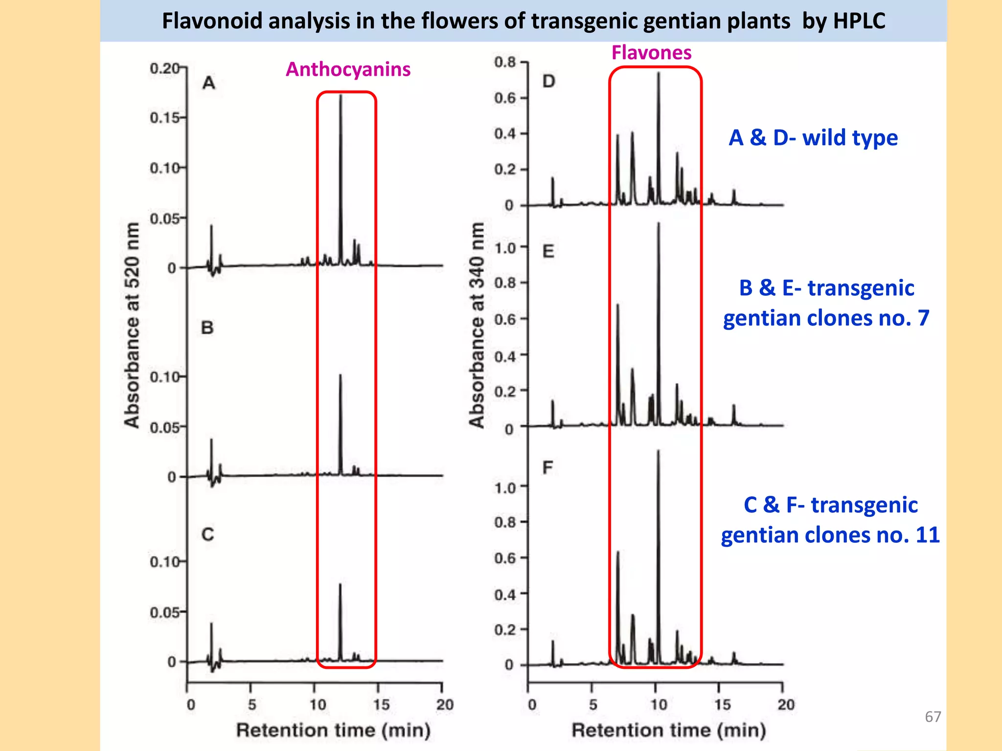 Flavonoid analysis in the flowers of transgenic gentian plants by HPLC
A & D- wild type
B & E- transgenic
gentian clones no. 7
C & F- transgenic
gentian clones no. 11
Anthocyanins
Flavones
67
 