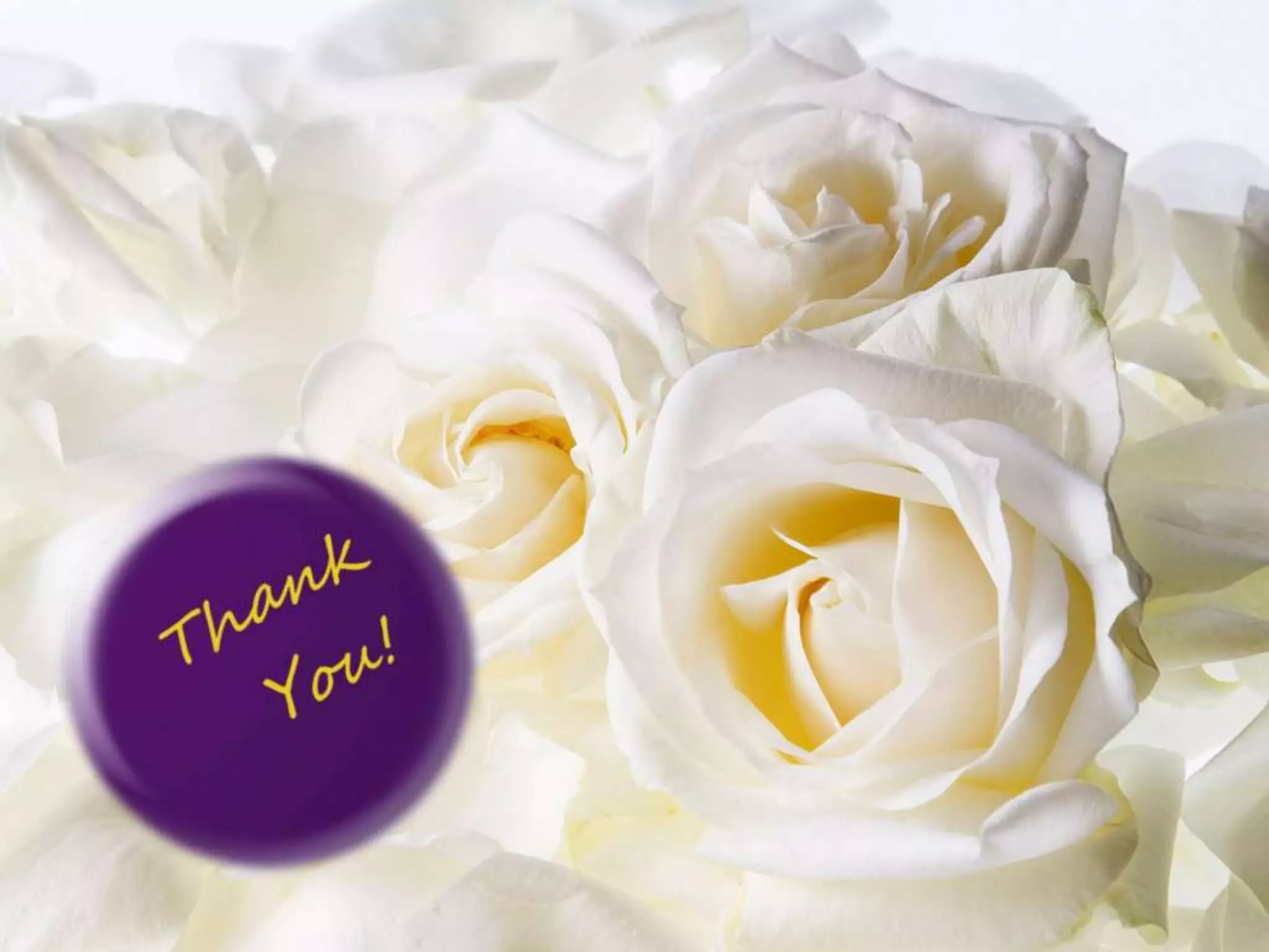 Earth is our unique Masterpiece, can neither be replicate,
transcribe nor translate it. We are only regulatory
components of Earth, can save our planet by Downregulating
environmental pollutions and Upregulating natural resources.
- Mariya Zaman
73
 