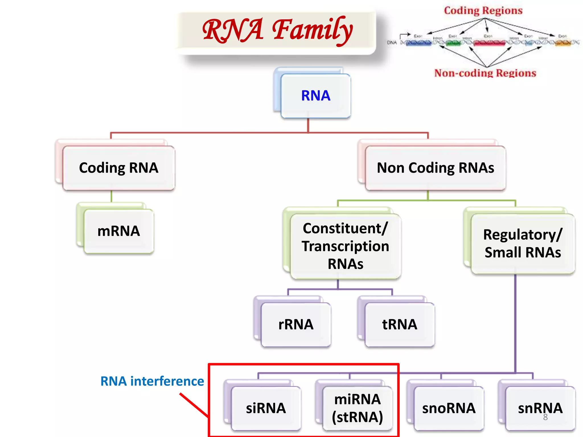RNA
Coding RNA
mRNA
Non Coding RNAs
Constituent/
Transcription
RNAs
rRNA tRNA
Regulatory/
Small RNAs
siRNA
miRNA
(stRNA)
snoRNA snRNA
RNA Family
RNA interference
8
 