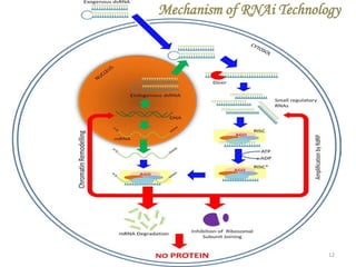 Role of Antisense and RNAi-based Gene Silencing in Crop Improvement | PPTX