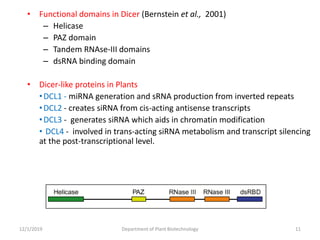 • Functional domains in Dicer (Bernstein et al., 2001)
– Helicase
– PAZ domain
– Tandem RNAse-III domains
– dsRNA binding domain
• Dicer-like proteins in Plants
•DCL1 - miRNA generation and sRNA production from inverted repeats
•DCL2 - creates siRNA from cis-acting antisense transcripts
•DCL3 - generates siRNA which aids in chromatin modification
• DCL4 - involved in trans-acting siRNA metabolism and transcript silencing
at the post-transcriptional level.
11Department of Plant Biotechnology12/1/2019
 