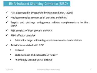  First discovered in Drosophila, by Hammond et al. (2000)
 Nuclease complex composed of proteins and siRNA
 Targets and destroys endogenous mRNAs complementary to the
siRNA
 RISC consists of both protein and RNA
 RNAi effector complex
 Critical for target mRNA degredation or tranlslation inhibition
 Activities associated with RISC
 Helicase
 Endonuclease and exonuclease “Slicer”
 “homology seeking”/RNA binding
RNA-Induced Silencing Complex (RISC)
12Department of Plant Biotechnology12/1/2019
 