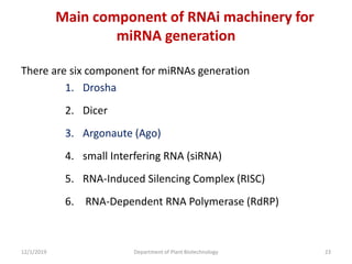 Main component of RNAi machinery for
miRNA generation
There are six component for miRNAs generation
1. Drosha
2. Dicer
3. Argonaute (Ago)
4. small Interfering RNA (siRNA)
5. RNA-Induced Silencing Complex (RISC)
6. RNA-Dependent RNA Polymerase (RdRP)
23Department of Plant Biotechnology12/1/2019
 