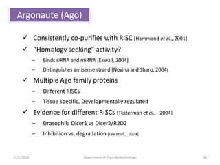 Argonaute (Ago)
 Consistently co-purifies with RISC [Hammond et al., 2001]
 “Homology seeking” activity?
– Binds siRNA and miRNA [Ekwall, 2004]
– Distinguishes antisense strand [Novina and Sharp, 2004]
 Multiple Ago family proteins
– Different RISCs
– Tissue specific, Developmentally regulated
 Evidence for different RISCs [Tijsterman et al., 2004]
– Drosophila Dicer1 vs Dicer2/R2D2
– Inhibition vs. degradation [Lee et al., 2004]
26Department of Plant Biotechnology12/1/2019
 