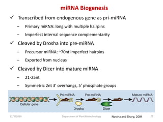 miRNA Biogenesis
 Transcribed from endogenous gene as pri-miRNA
– Primary miRNA: long with multiple hairpins
– Imperfect internal sequence complementarity
 Cleaved by Drosha into pre-miRNA
– Precursor miRNA: ~70nt imperfect hairpins
– Exported from nucleus
 Cleaved by Dicer into mature miRNA
– 21-25nt
– Symmetric 2nt 3’ overhangs, 5’ phosphate groups
27Department of Plant Biotechnology12/1/2019 Novina and Sharp, 2004
 