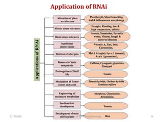 Application of RNAi
36Department of Plant Biotechnology12/1/2019
 