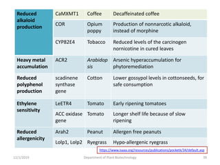 Reduced
alkaloid
production
CaMXMT1 Coffee Decaffeinated coffee
COR Opium
poppy
Production of nonnarcotic alkaloid,
instead of morphine
CYP82E4 Tobacco Reduced levels of the carcinogen
nornicotine in cured leaves
Heavy metal
accumulation
ACR2 Arabidop
sis
Arsenic hyperaccumulation for
phytoremediation
Reduced
polyphenol
production
scadinene
synthase
gene
Cotton Lower gossypol levels in cottonseeds, for
safe consumption
Ethylene
sensitivity
LeETR4 Tomato Early ripening tomatoes
ACC oxidase
gene
Tomato Longer shelf life because of slow
ripening
Reduced
allergenicity
Arah2 Peanut Allergen free peanuts
Lolp1, Lolp2 Ryegrass Hypo-allergenic ryegrass
39Department of Plant Biotechnology12/1/2019
https://www.isaaa.org/resources/publications/pocketk/34/default.asp
 