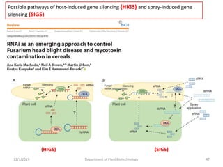 12/1/2019 Department of Plant Biotechnology 47
Possible pathways of host-induced gene silencing (HIGS) and spray-induced gene
silencing (SIGS)
(HIGS) (SIGS)
 