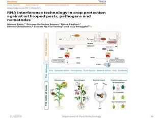 12/1/2019 Department of Plant Biotechnology 48
 