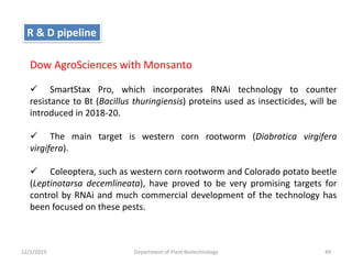 12/1/2019 Department of Plant Biotechnology 49
R & D pipeline
Dow AgroSciences with Monsanto
 SmartStax Pro, which incorporates RNAi technology to counter
resistance to Bt (Bacillus thuringiensis) proteins used as insecticides, will be
introduced in 2018-20.
 The main target is western corn rootworm (Diabrotica virgifera
virgifera).
 Coleoptera, such as western corn rootworm and Colorado potato beetle
(Leptinotarsa decemlineata), have proved to be very promising targets for
control by RNAi and much commercial development of the technology has
been focused on these pests.
 