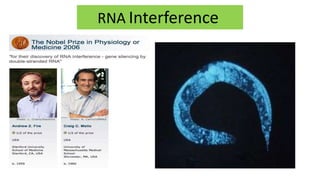 RNA Interference
 
