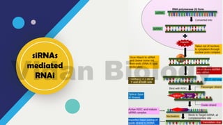 RNA Interference | PDF