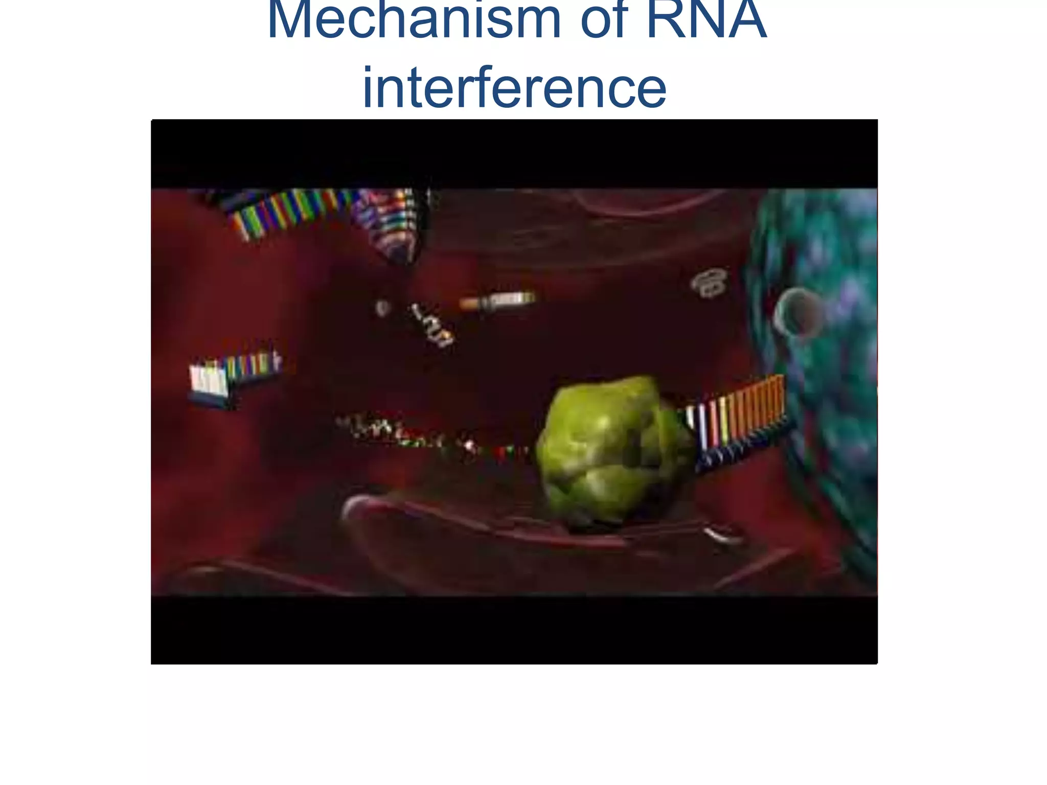 Mechanism of RNA 
interference 
 