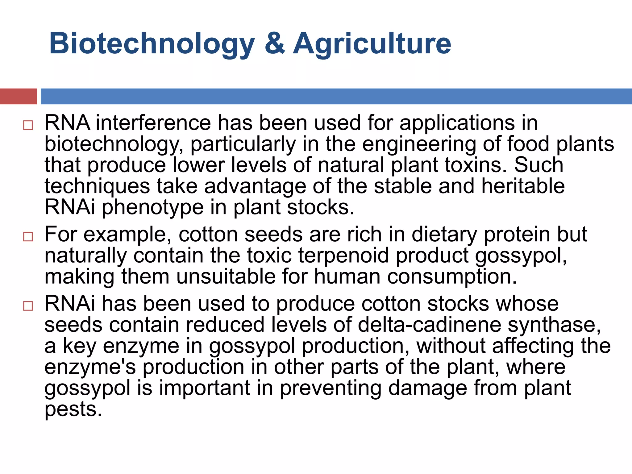 Biotechnology & Agriculture 
 RNA interference has been used for applications in 
biotechnology, particularly in the engineering of food plants 
that produce lower levels of natural plant toxins. Such 
techniques take advantage of the stable and heritable 
RNAi phenotype in plant stocks. 
 For example, cotton seeds are rich in dietary protein but 
naturally contain the toxic terpenoid product gossypol, 
making them unsuitable for human consumption. 
 RNAi has been used to produce cotton stocks whose 
seeds contain reduced levels of delta-cadinene synthase, 
a key enzyme in gossypol production, without affecting the 
enzyme's production in other parts of the plant, where 
gossypol is important in preventing damage from plant 
pests. 
 