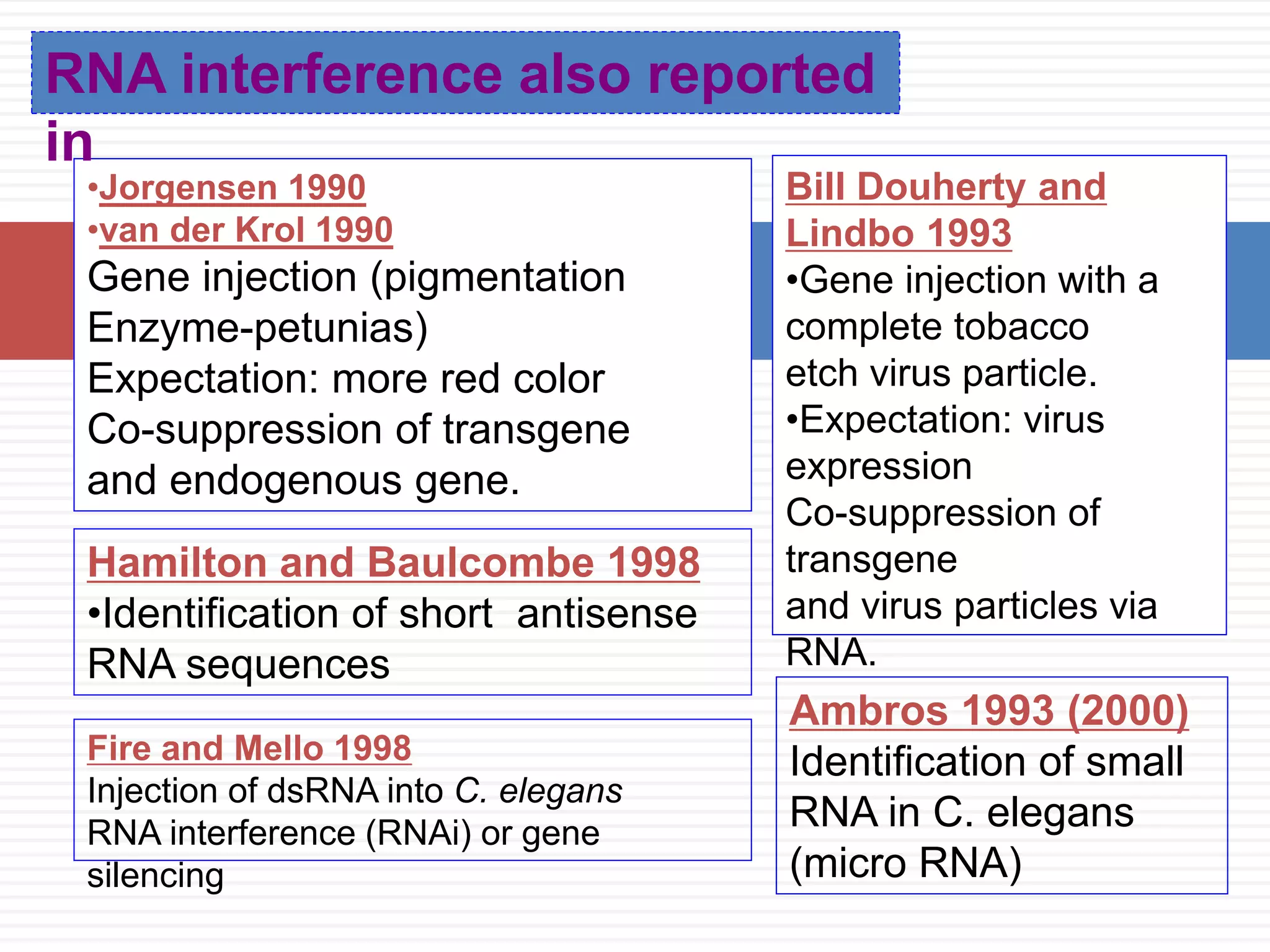 RNA interference also reported 
in 
•Jorgensen 1990 
•van der Krol 1990 
Gene injection (pigmentation 
Enzyme-petunias) 
Expectation: more red color 
Co-suppression of transgene 
and endogenous gene. 
Bill Douherty and 
Lindbo 1993 
•Gene injection with a 
complete tobacco 
etch virus particle. 
•Expectation: virus 
expression 
Co-suppression of 
transgene 
and virus particles via 
RNA. 
Hamilton and Baulcombe 1998 
•Identification of short antisense 
RNA sequences 
Fire and Mello 1998 
Injection of dsRNA into C. elegans 
RNA interference (RNAi) or gene 
silencing 
Ambros 1993 (2000) 
Identification of small 
RNA in C. elegans 
(micro RNA) 
 