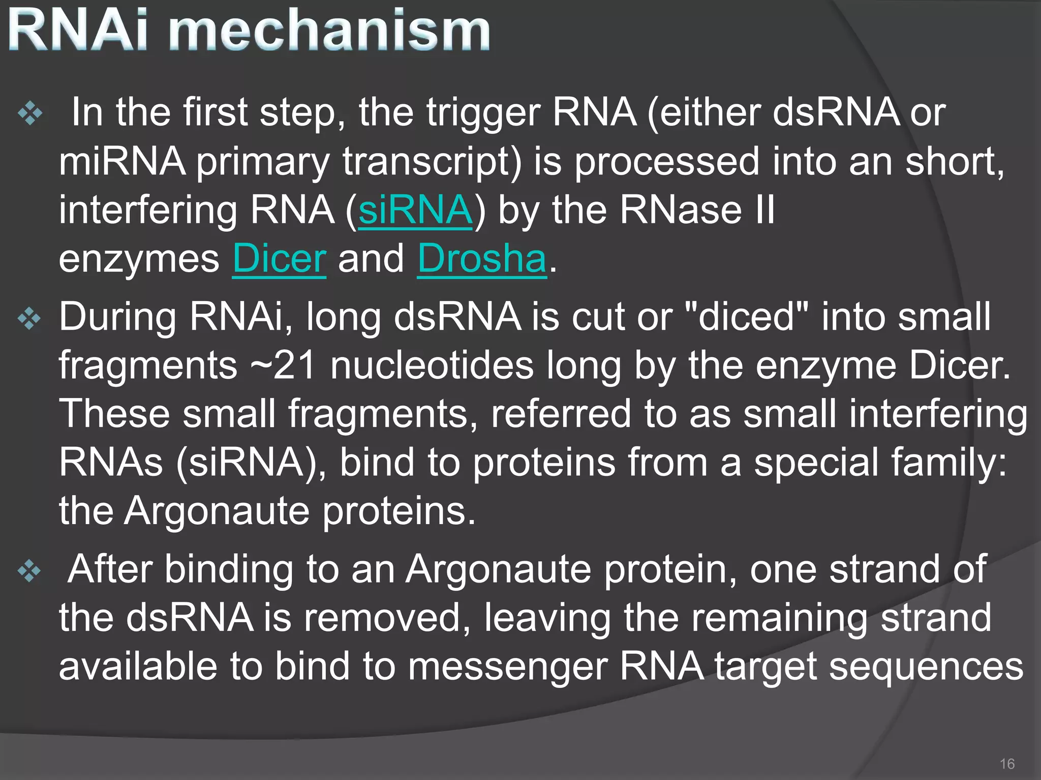  In the first step, the trigger RNA (either dsRNA or
miRNA primary transcript) is processed into an short,
interfering RNA (siRNA) by the RNase II
enzymes Dicer and Drosha.
 During RNAi, long dsRNA is cut or "diced" into small
fragments ~21 nucleotides long by the enzyme Dicer.
These small fragments, referred to as small interfering
RNAs (siRNA), bind to proteins from a special family:
the Argonaute proteins.
 After binding to an Argonaute protein, one strand of
the dsRNA is removed, leaving the remaining strand
available to bind to messenger RNA target sequences
16
 