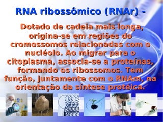 RNA ribossômico (RNAr) - Dotado de cadeia mais longa, origina-se em regiões do cromossomos relacionadas com o nucléolo. Ao migrar para o citoplasma, associa-se a proteínas, formando os ribossomos. Tem função, juntamente com o RNAm, na orientação da síntese protéica. 