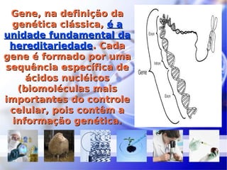 Gene, na definição da genética clássica,  é a unidade fundamental da hereditariedade . Cada gene é formado por uma sequência específica de ácidos nucléicos (biomoléculas mais importantes do controle celular, pois contêm a informação genética. 