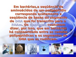 Em bactérias,a seqüência de aminoácidos de um polipeptídio corresponde exatamente à seqüência de bases do segmento de  DNA  que foi transcrito para o  RNAm . Os  cientistas  costumam dizer, por isso, que em bactérias há colinearidade entre as cadeias polipeptídicas e os segmentos de DNA que as codificam. 