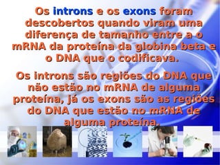 Os  introns  e os  exons  foram descobertos quando viram uma diferença de tamanho entre a o mRNA da proteína da globina beta e o DNA que o codificava.  Os introns são regiões do DNA que não estão no mRNA de alguma proteína, já os exons são as regiões do DNA que estão no mRNA de alguma proteína.  