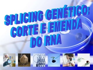 SPLICING GENÉTICO:  CORTE E EMENDA DO RNA 
