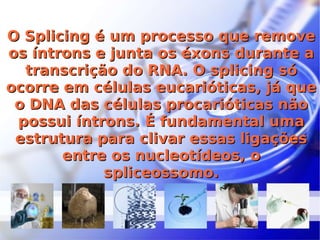 O Splicing é um processo que remove os íntrons e junta os éxons durante a transcrição do RNA. O splicing só ocorre em células eucarióticas, já que o DNA das células procarióticas não possui íntrons. É fundamental uma estrutura para clivar essas ligações entre os nucleotídeos, o spliceossomo. 