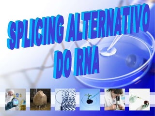 SPLICING ALTERNATIVO  DO RNA 