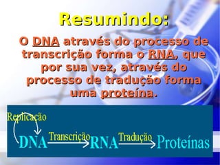 Resumindo: O  DNA  através do processo de transcrição forma o  RNA , que por sua vez, através do processo de tradução forma uma  proteína . 