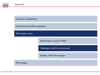 Sample to Insight
IntroductionImportant considerations
Agenda
18
Critical factors for RNA preparation
RNA quality control
Determination of purity of RNA
Challenges of gDNA contamination
Stability of RNA after storage
RNA integrity
 