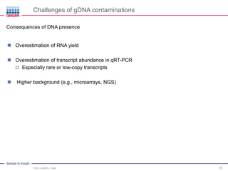 Sample to Insight
Challenges of gDNA contaminations
Title, Location, Date 19
 Overestimation of RNA yield
 Overestimation of transcript abundance in qRT-PCR
 Especially rare or low-copy transcripts
 Higher background (e.g., microarrays, NGS)
Consequences of DNA presence
 