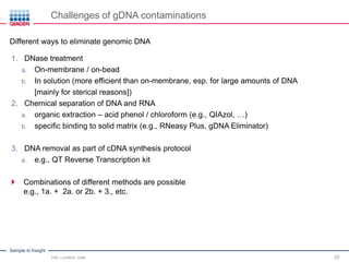 Sample to Insight
Challenges of gDNA contaminations
Title, Location, Date 20
1. DNase treatment
a. On-membrane / on-bead
b. In solution (more efficient than on-membrane, esp. for large amounts of DNA
[mainly for sterical reasons])
2. Chemical separation of DNA and RNA
a. organic extraction – acid phenol / chloroform (e.g., QIAzol, …)
b. specific binding to solid matrix (e.g., RNeasy Plus, gDNA Eliminator)
3. DNA removal as part of cDNA synthesis protocol
a. e.g., QT Reverse Transcription kit
 Combinations of different methods are possible
e.g., 1a. + 2a. or 2b. + 3., etc.
Different ways to eliminate genomic DNA
 