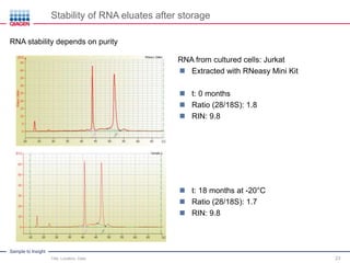 Sample to Insight
Stability of RNA eluates after storage
Title, Location, Date 23
 t: 18 months at -20°C
 Ratio (28/18S): 1.7
 RIN: 9.8
RNA from cultured cells: Jurkat
 Extracted with RNeasy Mini Kit
 t: 0 months
 Ratio (28/18S): 1.8
 RIN: 9.8
RNA stability depends on purity
 